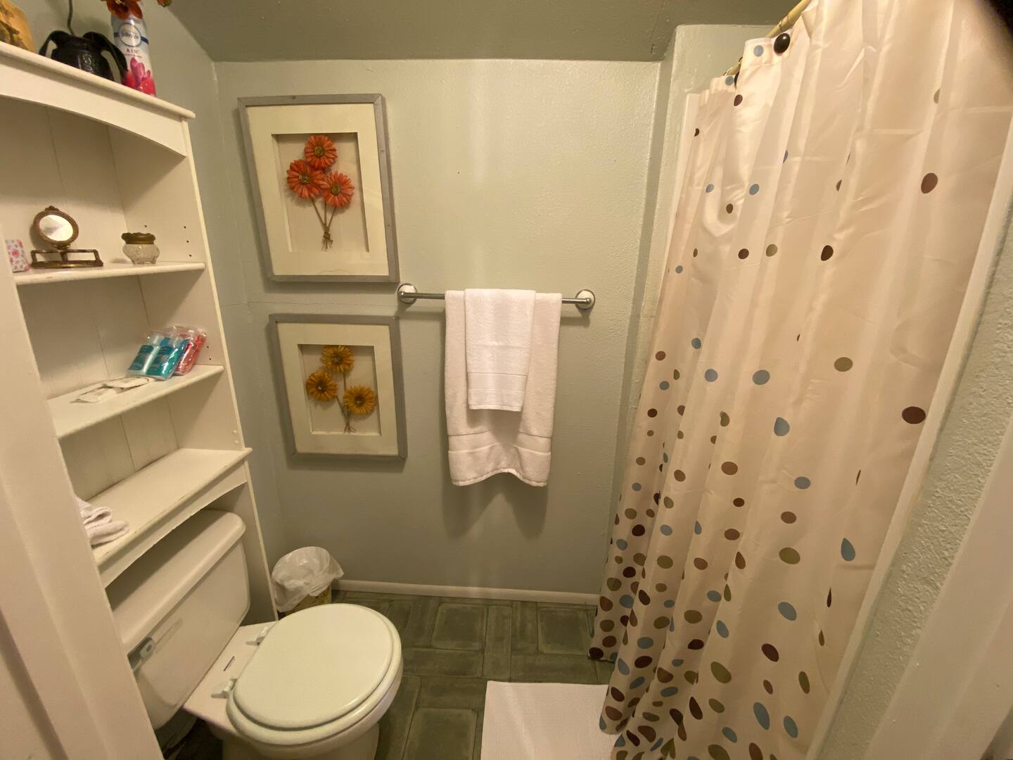 Judge Roy Bean Cottage private pet-friendly cottage Bonham TX